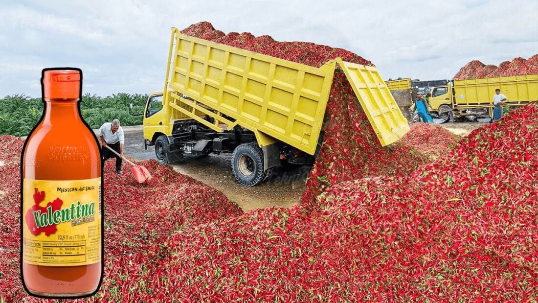 Imagen de un camión descargando una gran pila de chiles rojos con una botella de salsa Valentina en primer plano. - Recetas Chidas